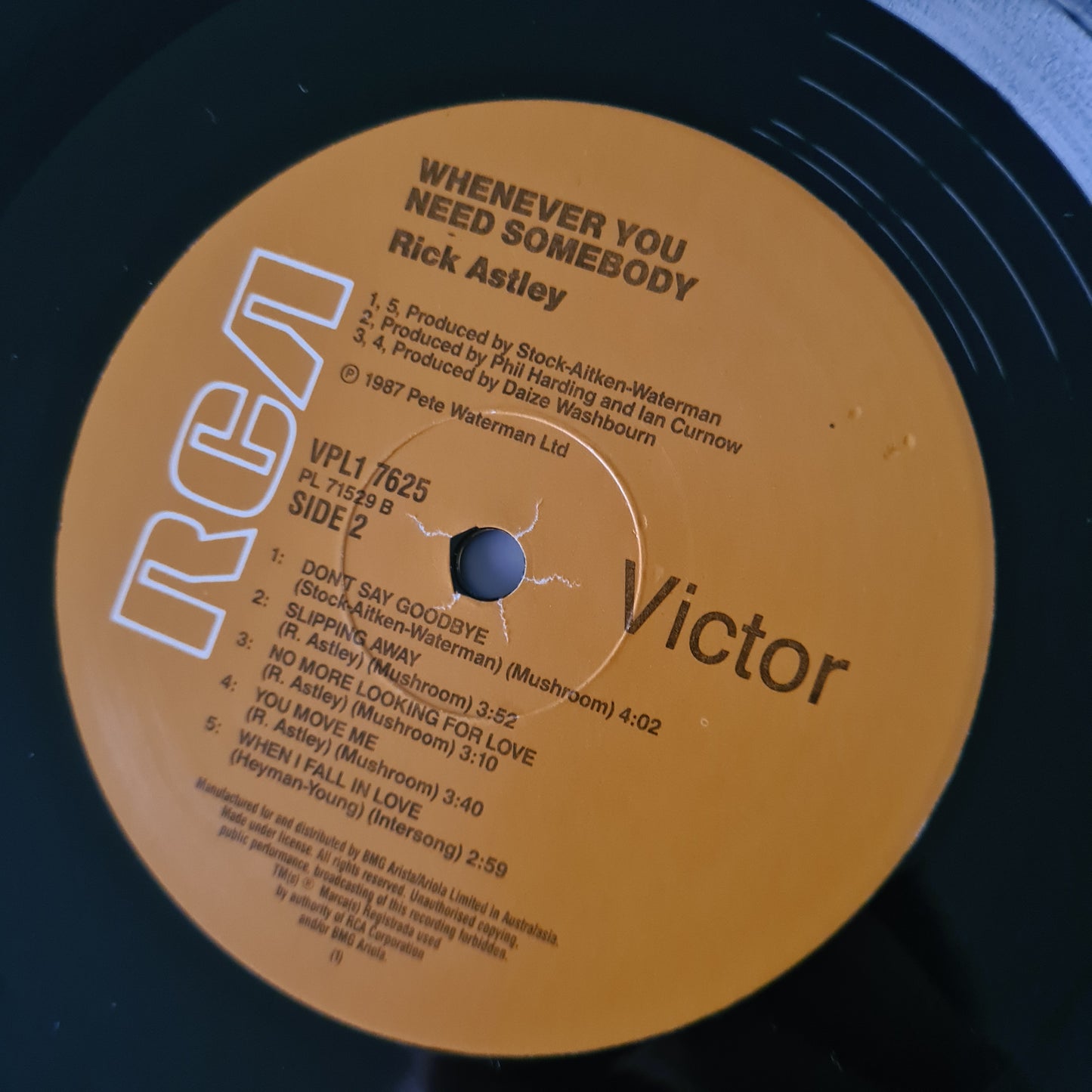 Rick Astley – Whenever You Need Somebody - 1987 - Vinyl Record LP - Sound Hound Records