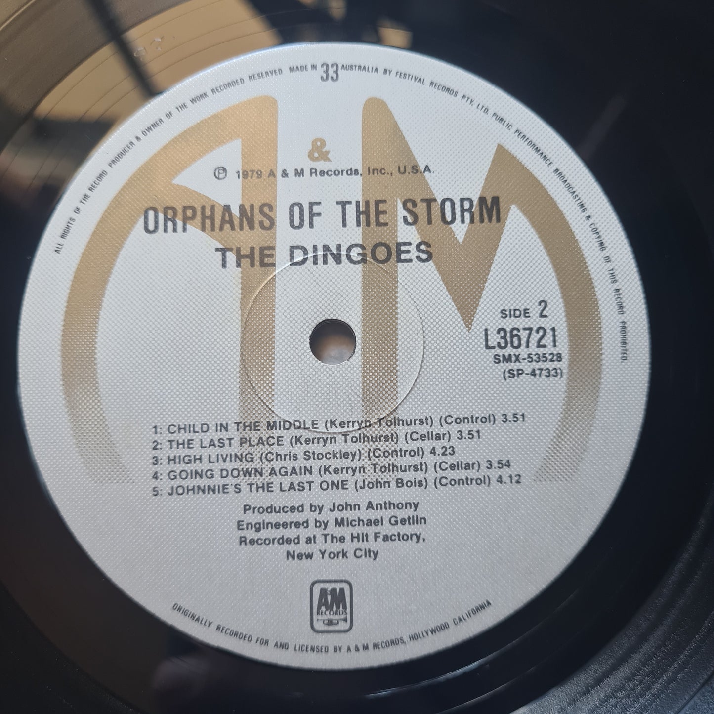 The Dingoes – Orphans Of The Storm - 1979 - Vinyl Record LP (EX) - Sound Hound Records