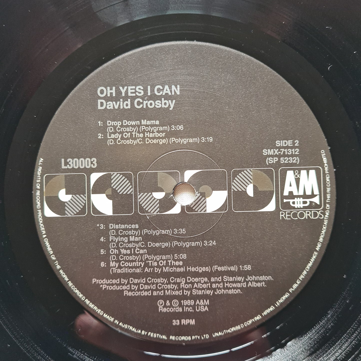 David Crosby – Oh Yes I Can - 1989 - Vinyl Record LP - Sound Hound Records