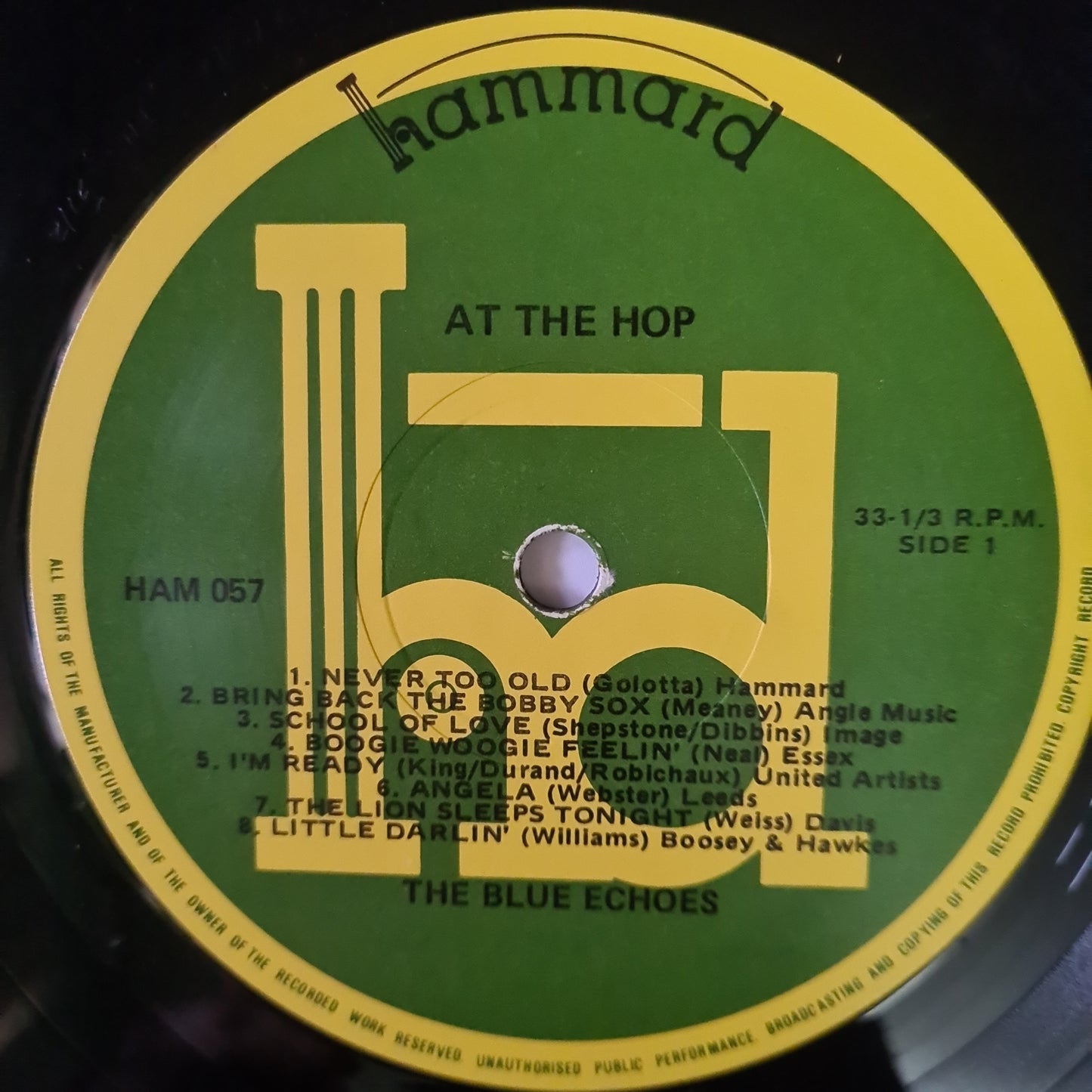 The Blue Echoes – At The Hop - 1981 - Vinyl Record LP