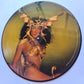 Cher – Take Me Home - 1979 - Vinyl Record LP PICTURE DISC