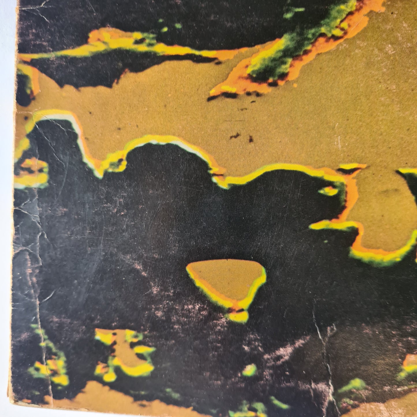 Buffalo – Dead Forever - 1972 (First Pressing, vertigo swirl label - Vinyl Record LP *RARE*