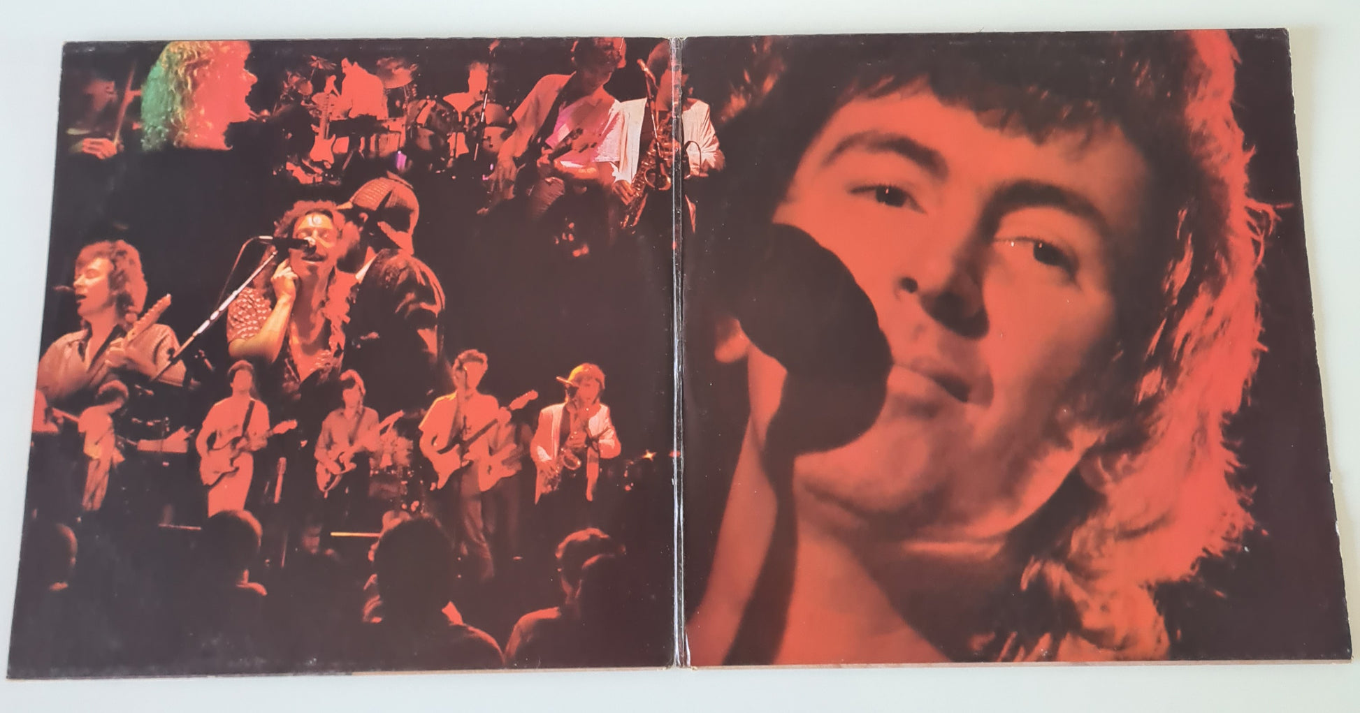 Al Stewart – Live Indian Summer - 1981 - Vinyl Record 2LP - Sound Hound Records