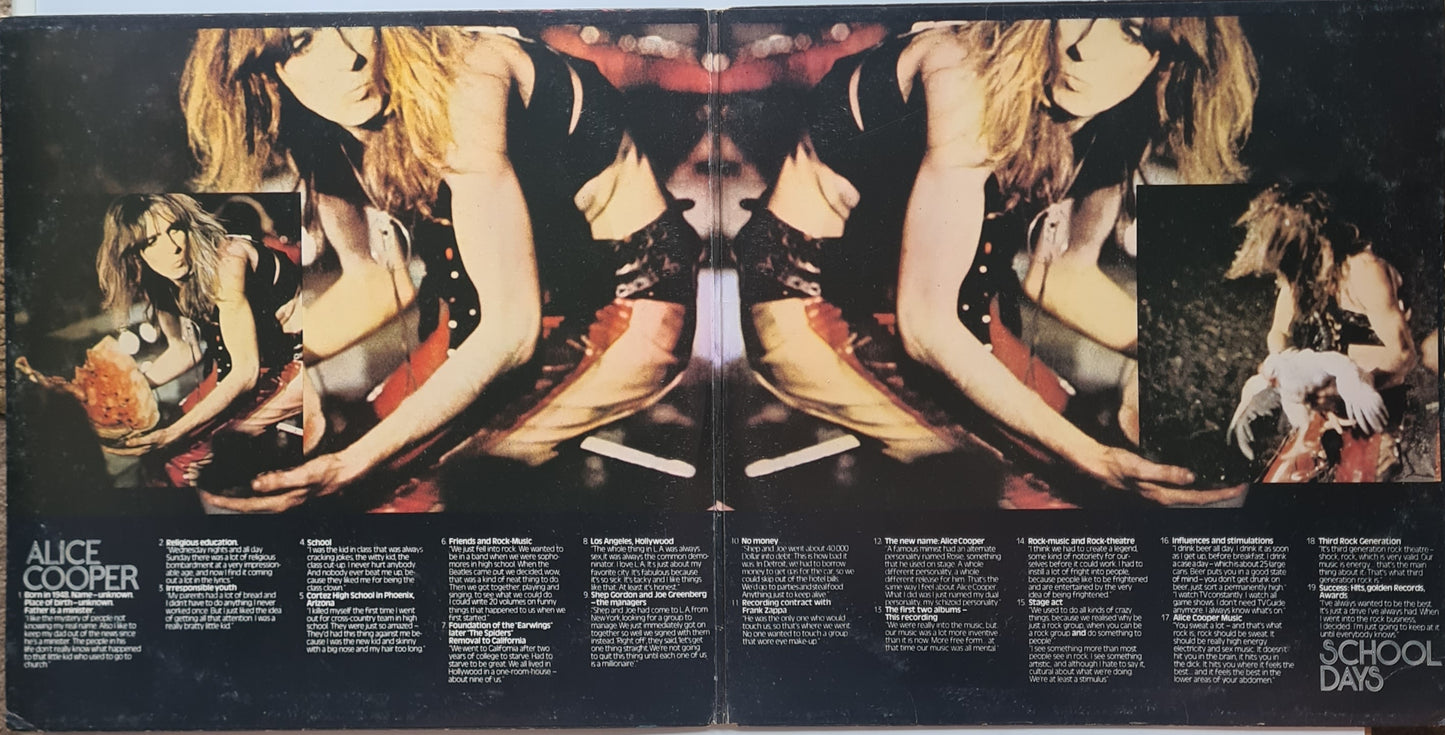 Alice Cooper – School Days: The Early Recordings (RECORD 1 ONLY: Pretties For You) - 1973 - Vinyl Record LP - Sound Hound Records