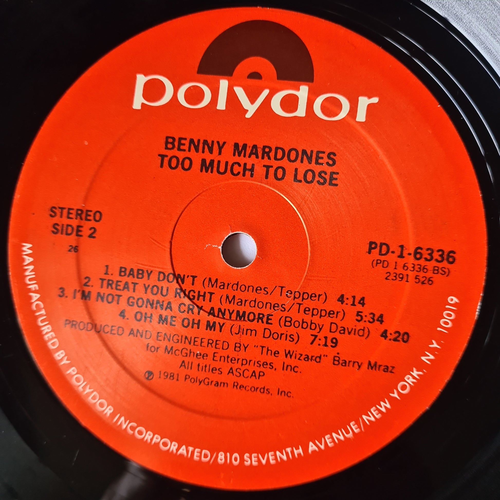 Benny Mardones – Too Much To Lose - 1981 - Vinyl Record LP - Sound Hound Records