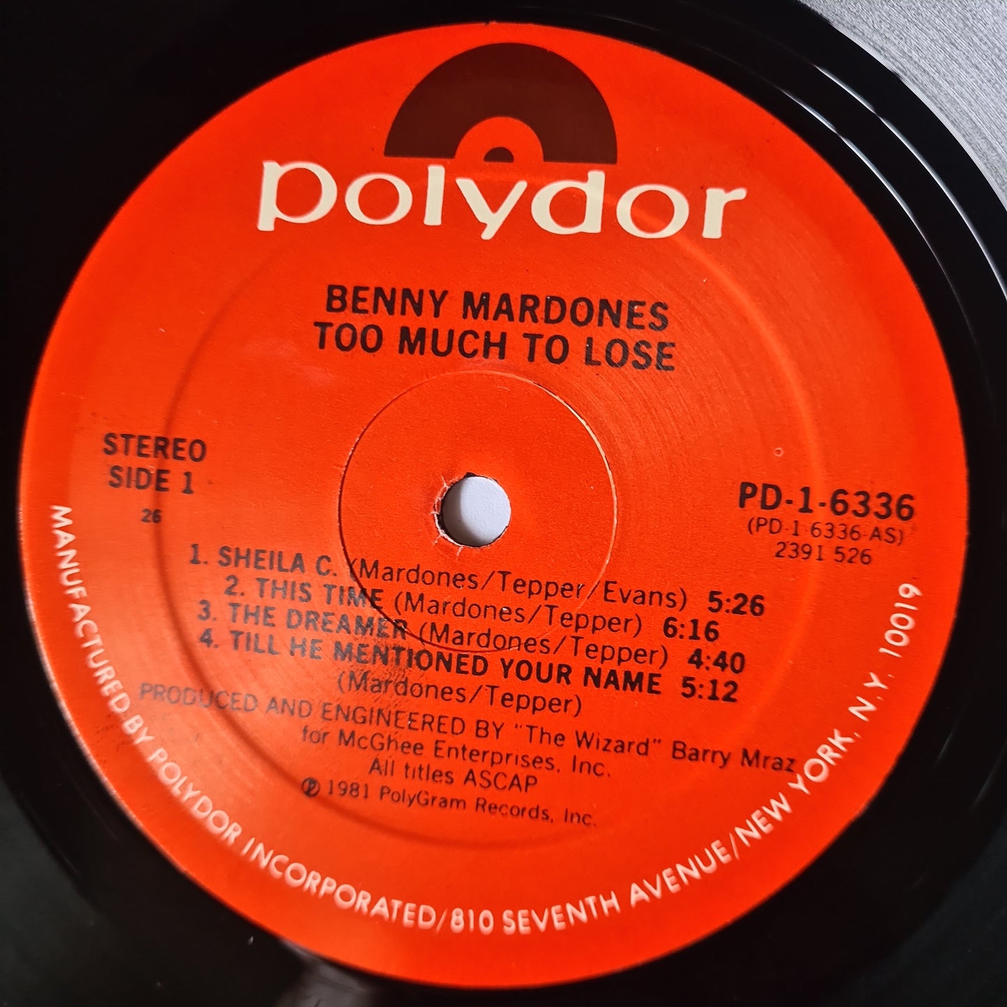 Benny Mardones – Too Much To Lose - 1981 - Vinyl Record LP - Sound Hound Records