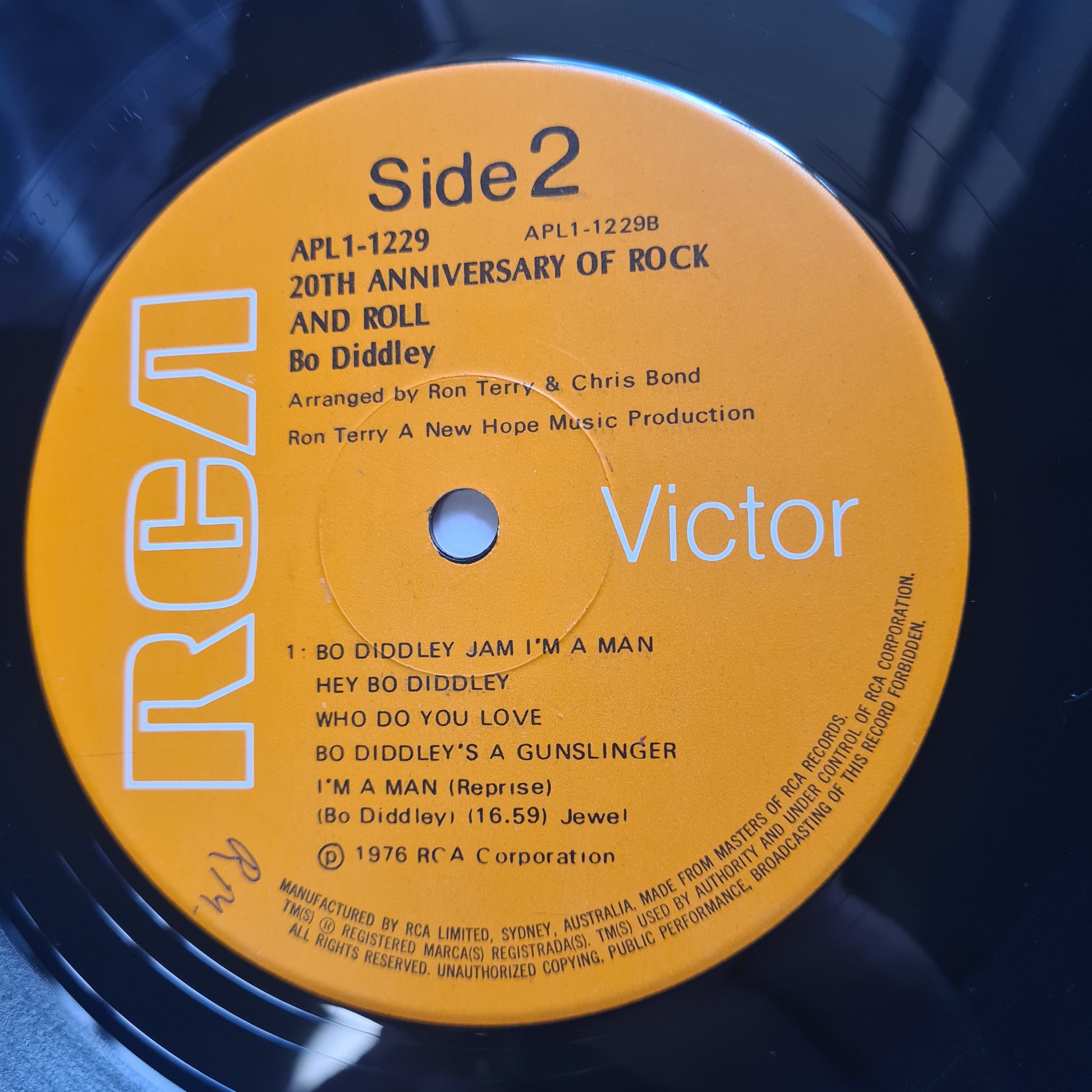 Bo Diddley – The 20th Anniversary Of Rock 'N' Roll - 1976 - Vinyl Record LP - Sound Hound Records