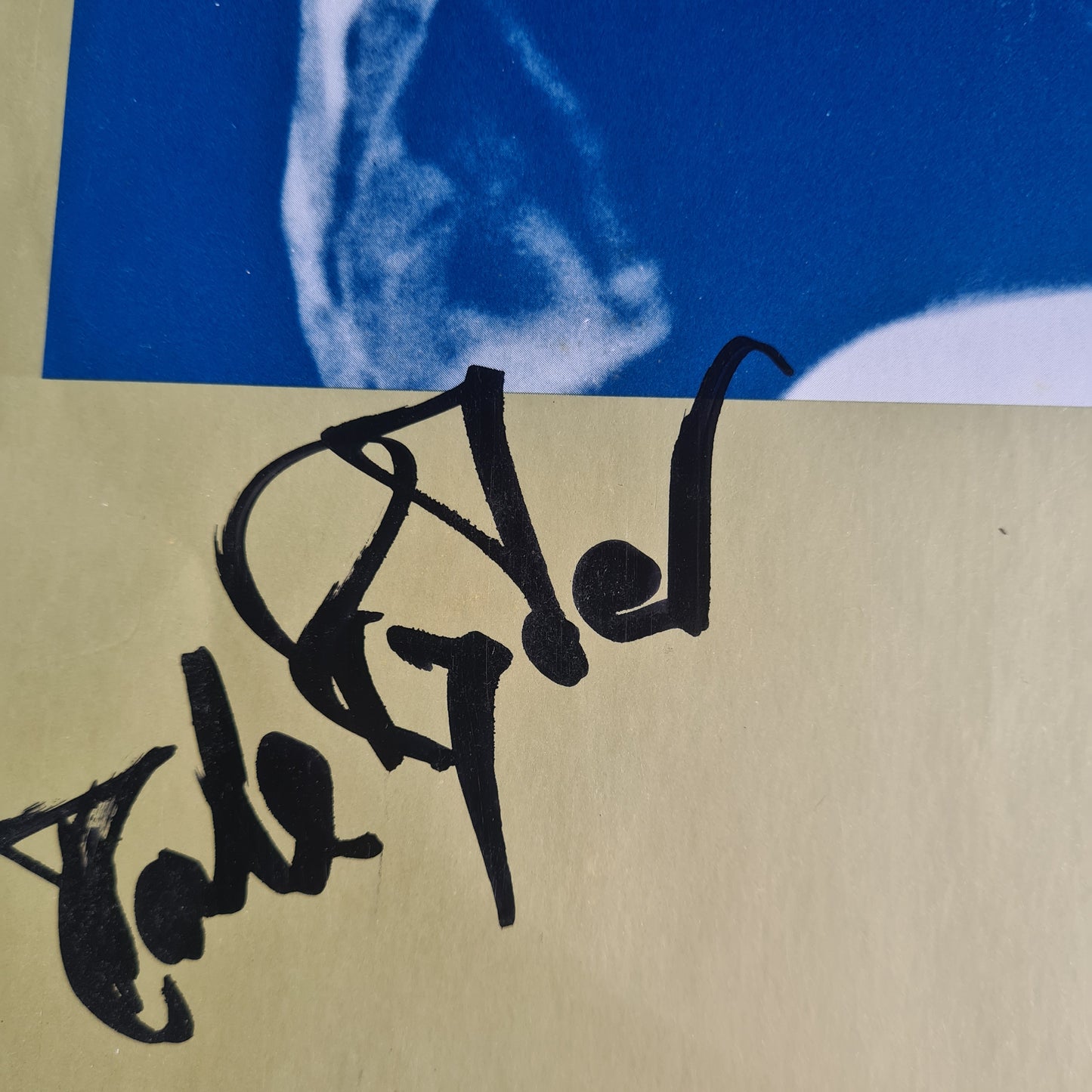 Boom Crash Opera – Boom Crash Opera (SIGNED BY DALE RYDER) - 1987 - Vinyl Record LP - Sound Hound Records