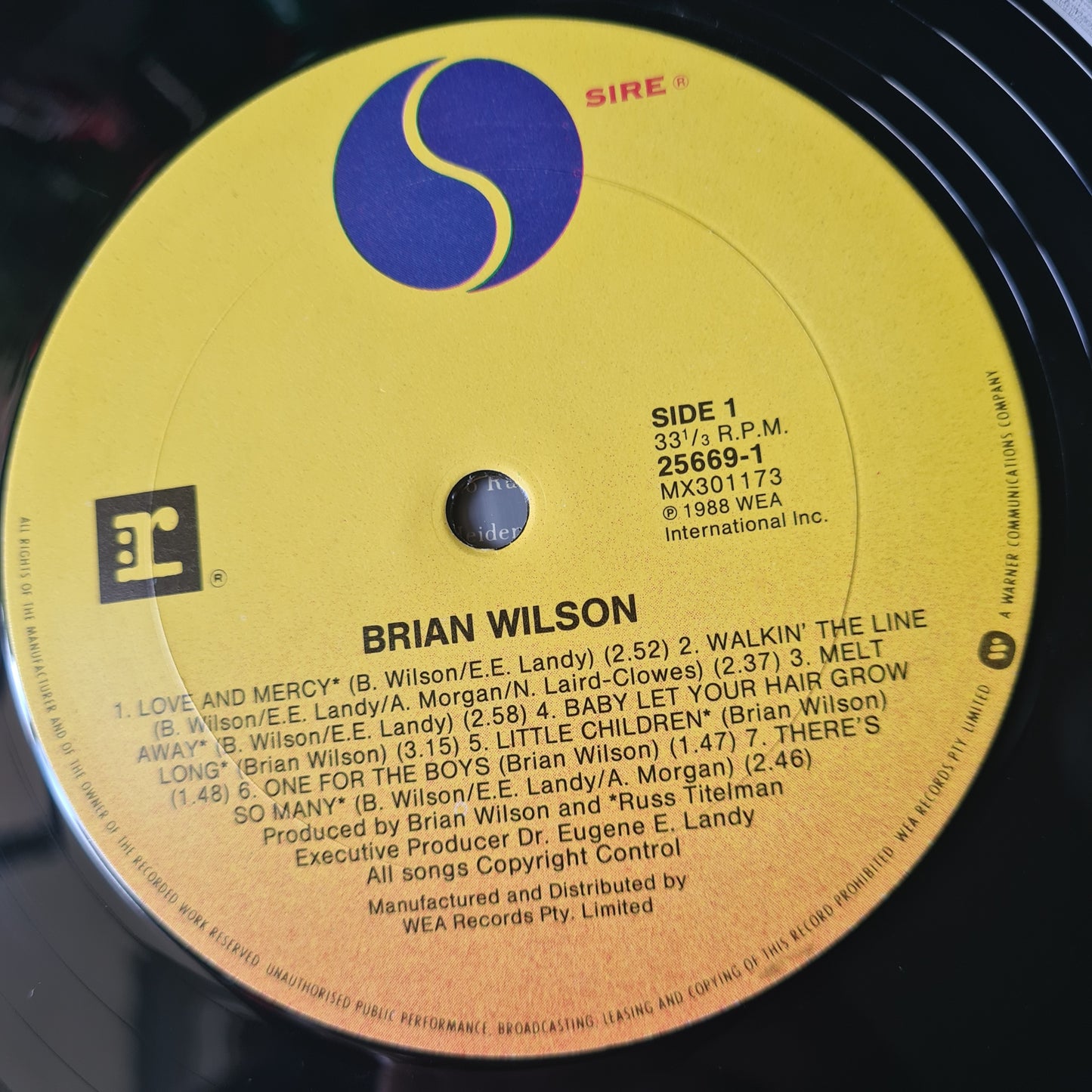 Brian Wilson (Beach Boys) – Brian Wilson - 1988 - Vinyl Record LP - Sound Hound Records