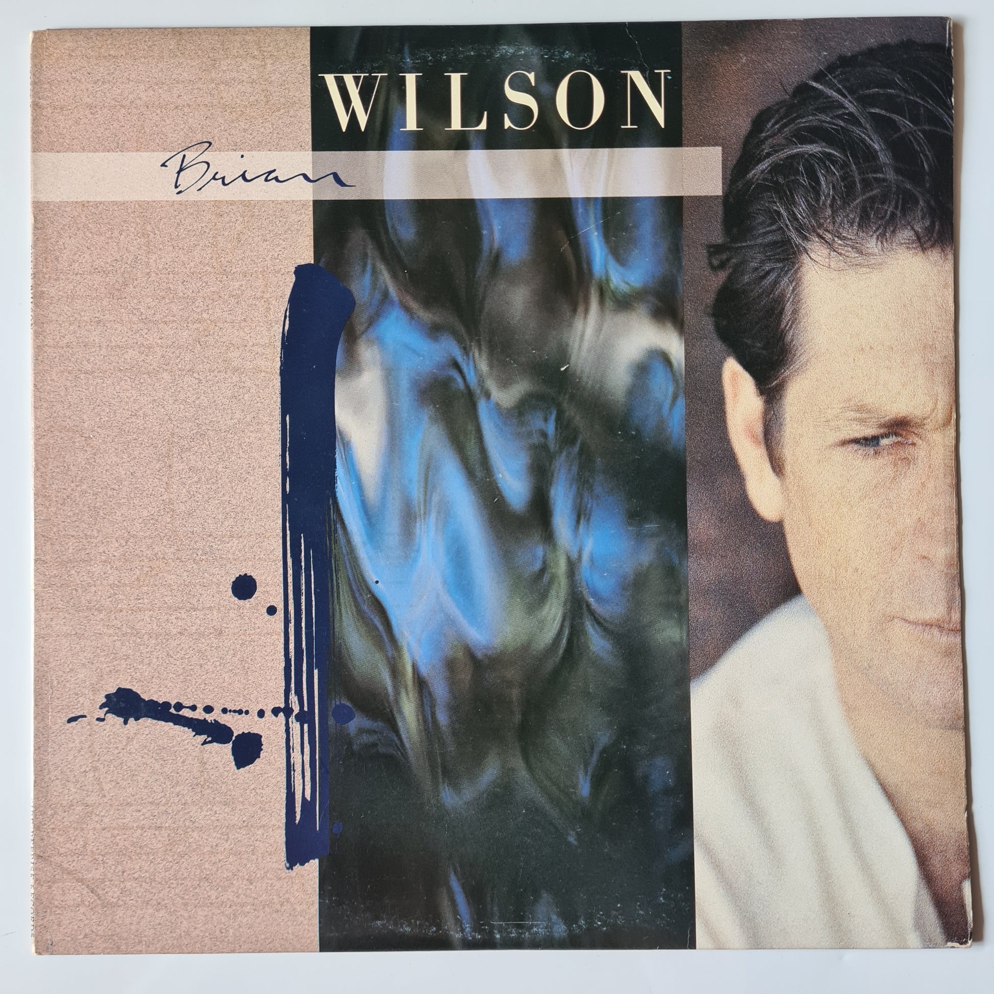 Brian Wilson (Beach Boys) – Brian Wilson - 1988 - Vinyl Record LP - Sound Hound Records