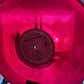 Bruce Springsteen – Born In The USA - 1984 (2024 Limited Edition 40th Anniversary, Red Translucent Vinyl, European Pressing) - Vinyl Record LP - Sound Hound Records