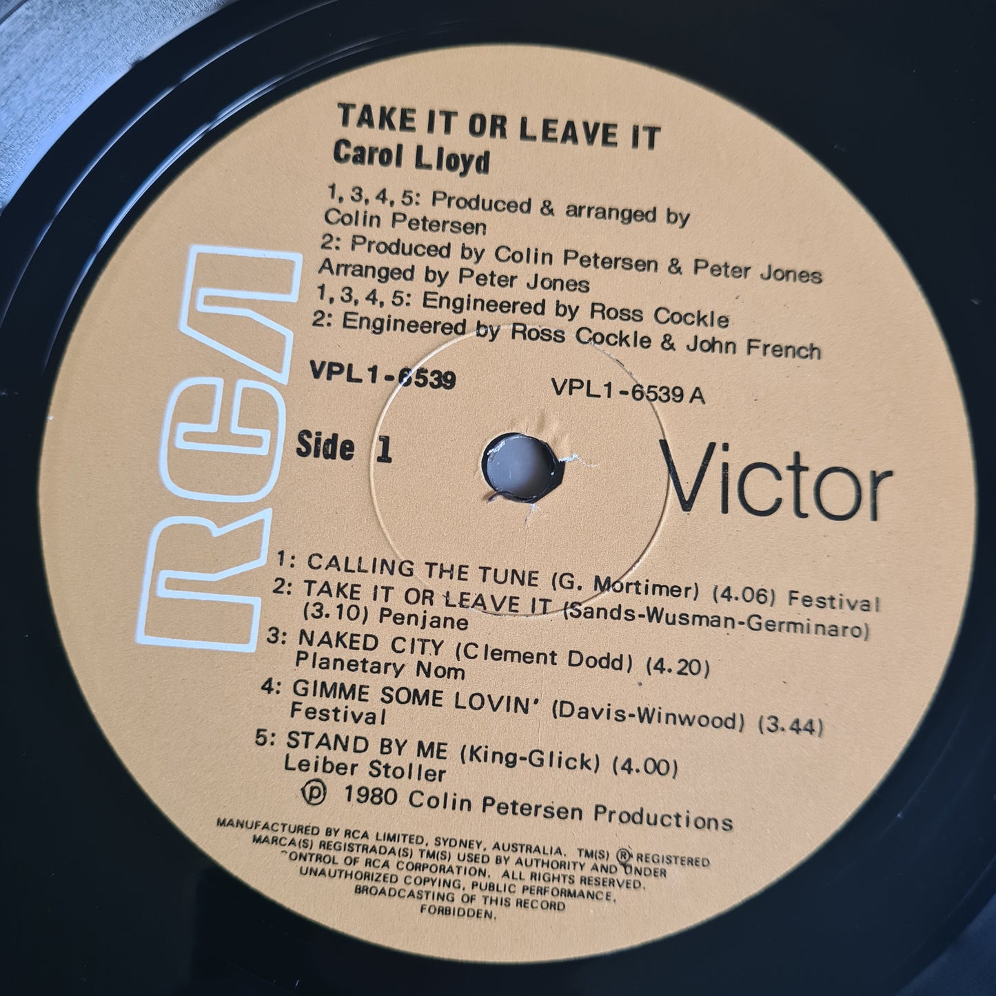 Carol Lloyd – Take It Or Leave It - 1981 - Vinyl Record LP - Sound Hound Records