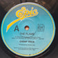 Cheap Trick - The Flame/ Through The Night - 1988 - Vinyl Record 7" Single - 45 RPM - Sound Hound Records