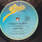 Cheap Trick - The Flame/ Through The Night - 1988 - Vinyl Record 7" Single - 45 RPM - Sound Hound Records