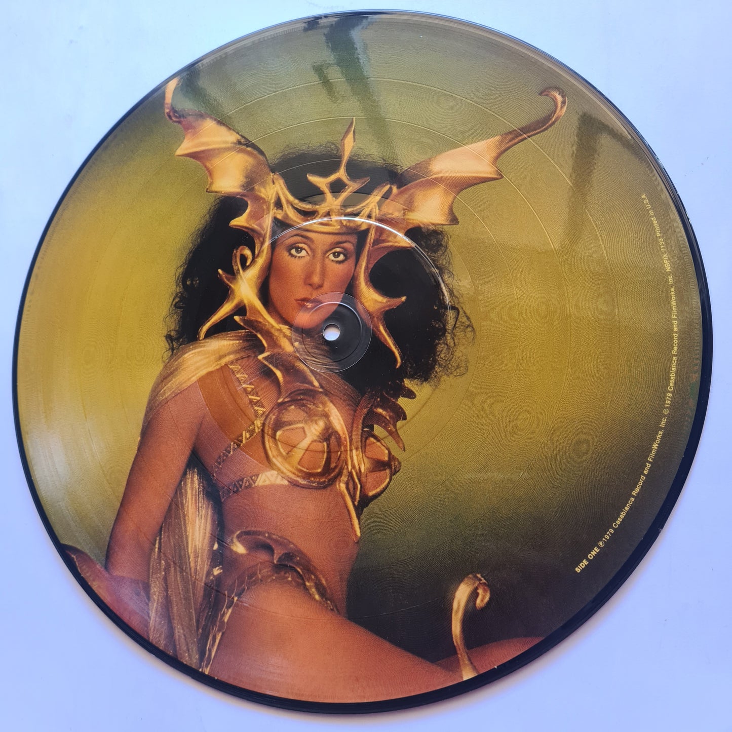 Cher – Take Me Home - 1979 - Vinyl Record LP PICTURE DISC - Sound Hound Records