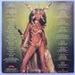 Cher – Take Me Home - 1979 - Vinyl Record LP PICTURE DISC - Sound Hound Records