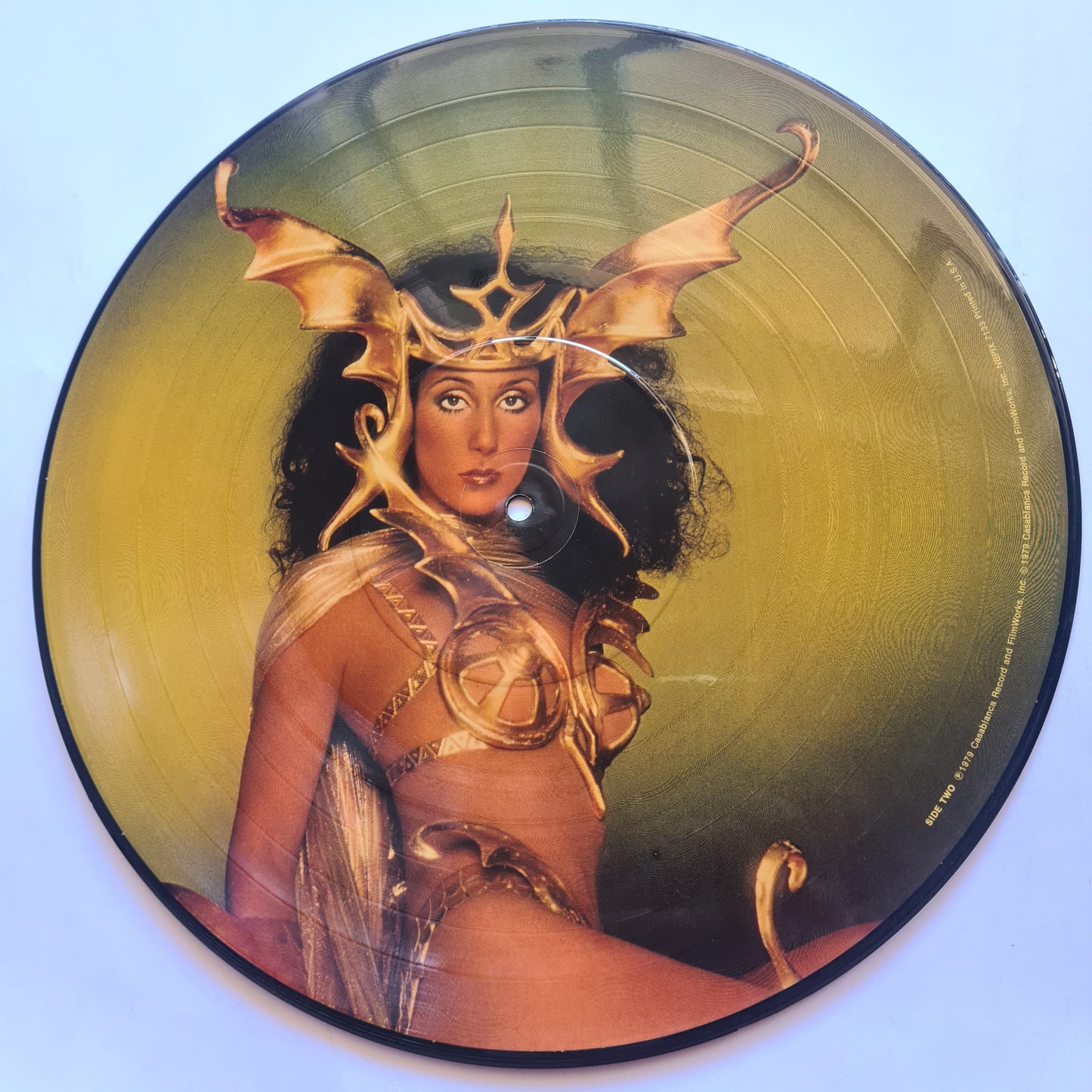 Cher – Take Me Home - 1979 - Vinyl Record LP PICTURE DISC - Sound Hound Records