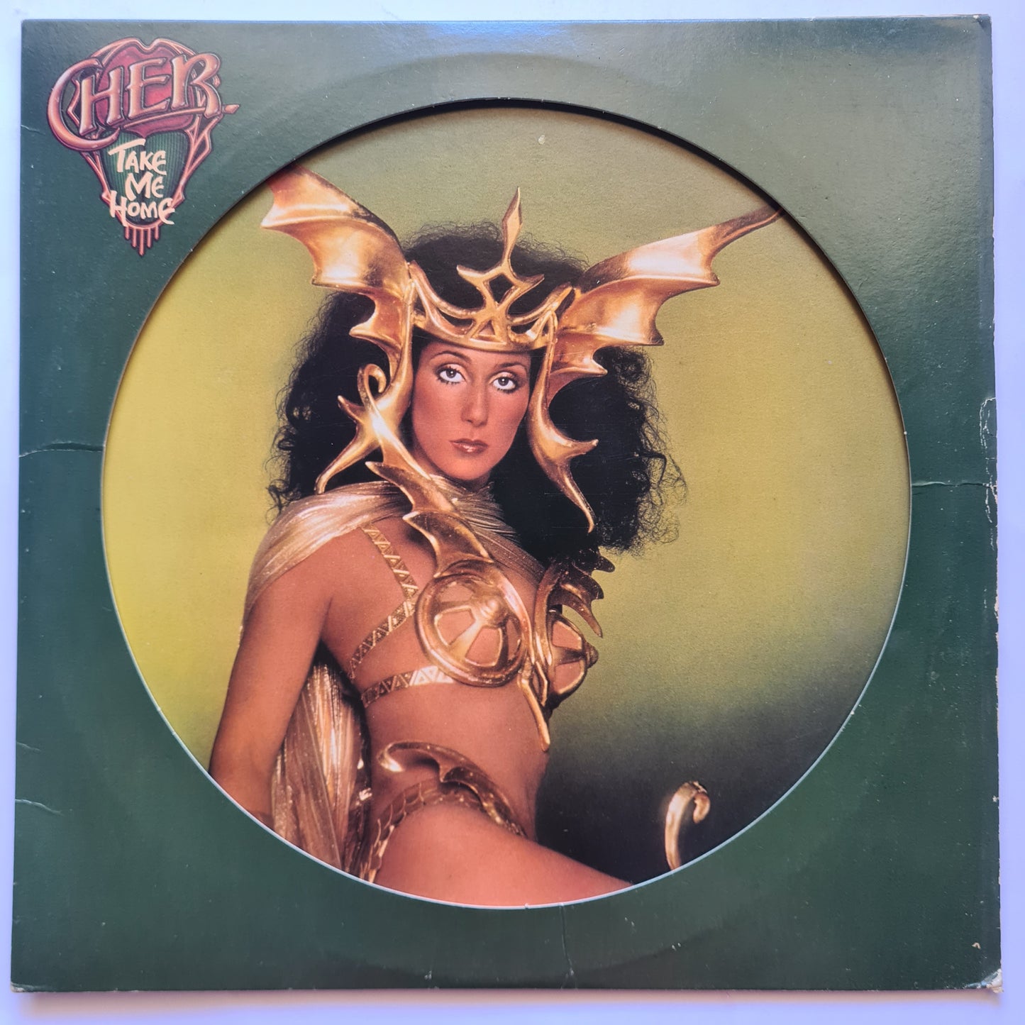 Cher – Take Me Home - 1979 - Vinyl Record LP PICTURE DISC - Sound Hound Records