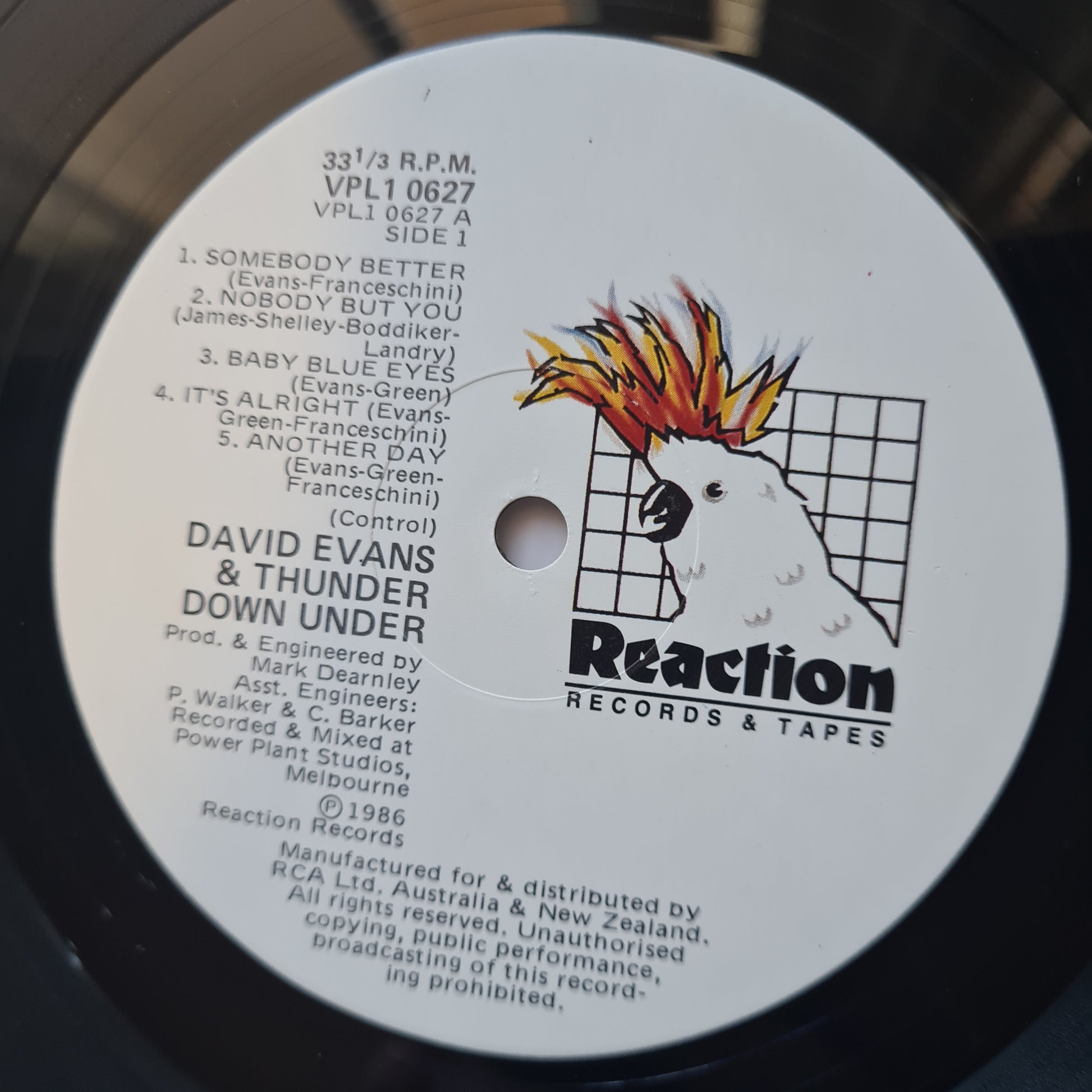 David Evans And Thunder Down Under (AC/DC Related) – David Evans And Thunder Down Under - 1986 - Vinyl Record LP - Sound Hound Records