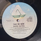 David Gates (Bread) – Take Me Now - 1981 - Vinyl Record LP - Sound Hound Records