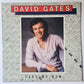 David Gates (Bread) – Take Me Now - 1981 - Vinyl Record LP - Sound Hound Records