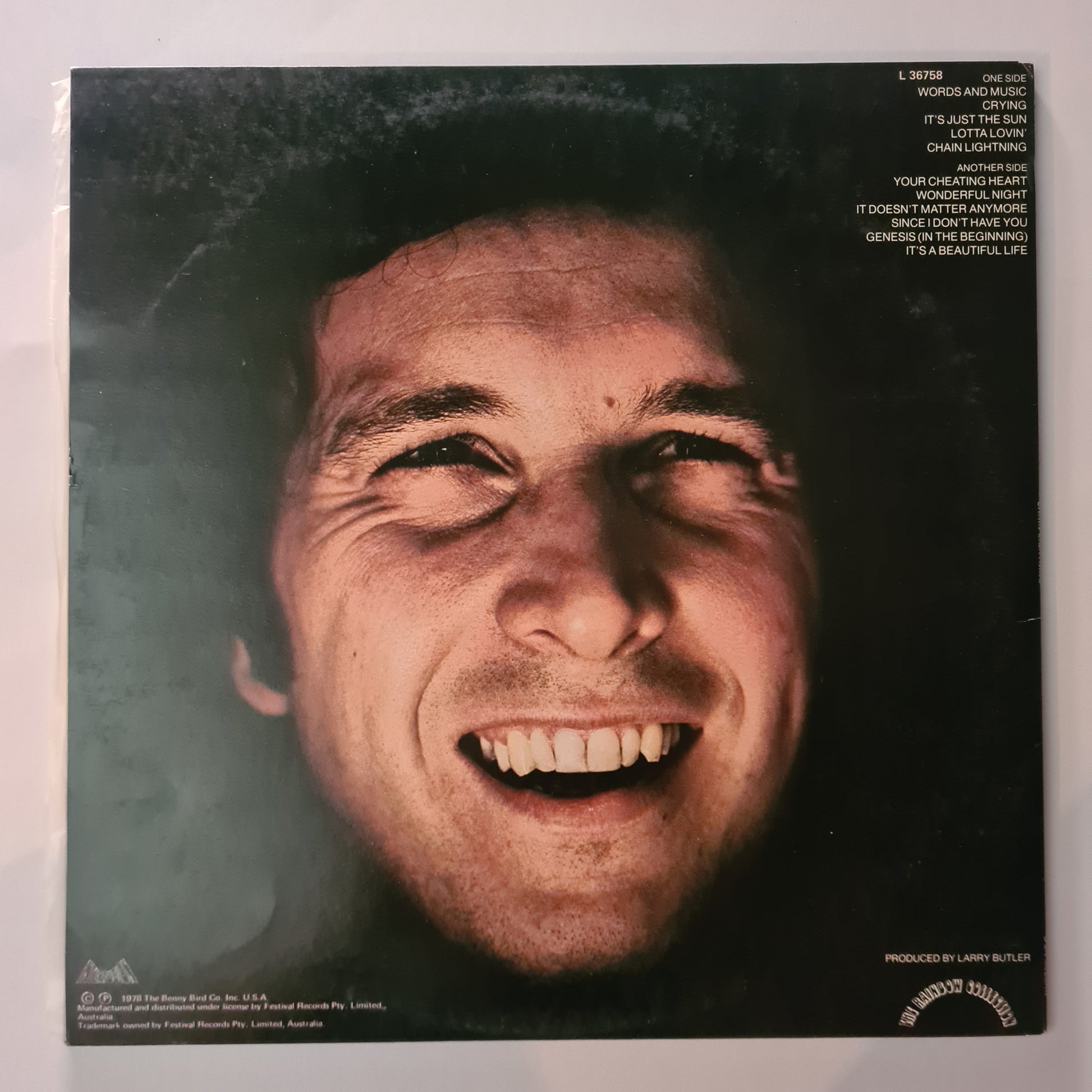 Don McLean - Chain Lightning - 1979 - Vinyl record LP - Sound Hound Records
