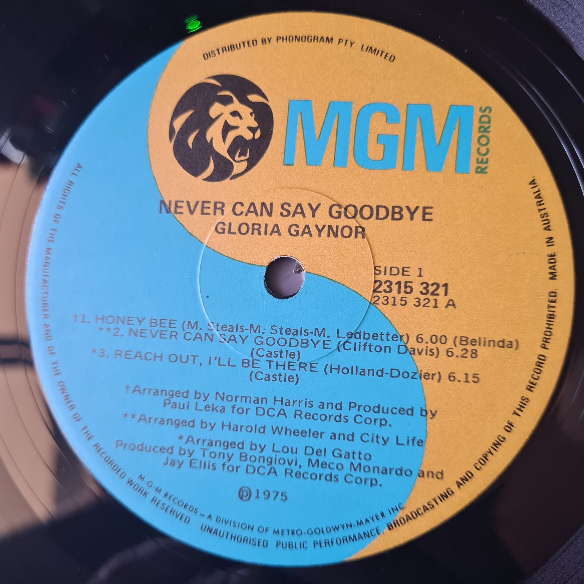 Gloria Gaynor - Never Can Say Goodbye - 1975 - Vinyl Record LP - Sound Hound Records