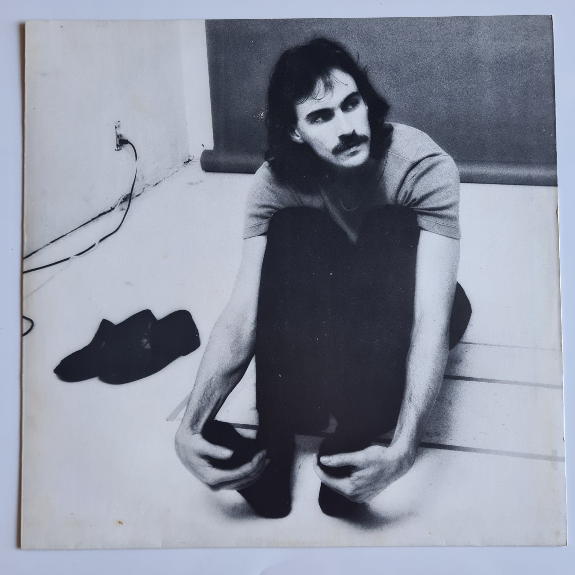 James Taylor – Greatest Hits - 1976 - Vinyl Record LP - Sound Hound Records