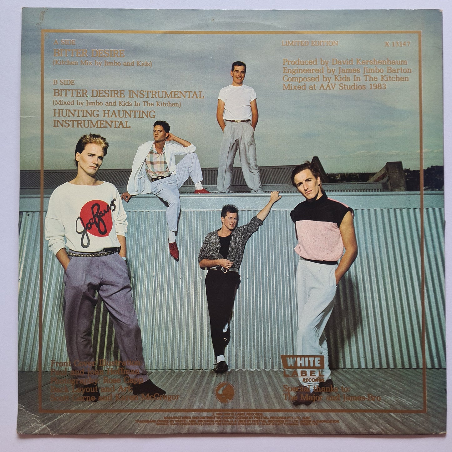 Kids In The Kitchen – Bitter Desire - 1984 - Vinyl Record (12inch single) - Sound Hound Records