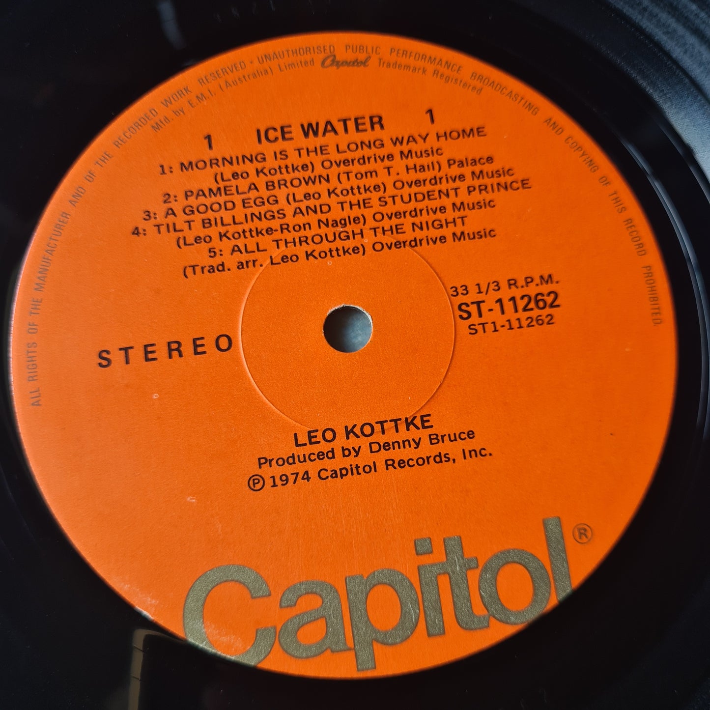 Leo Kottke – Ice Water - 1974 - Vinyl Record LP - Sound Hound Records