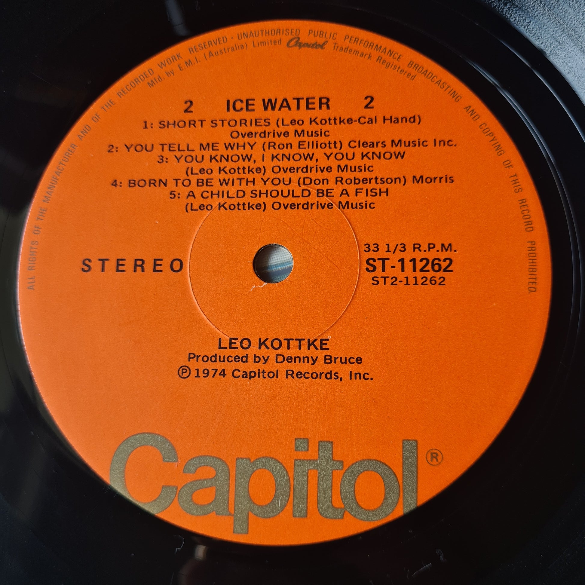 Leo Kottke – Ice Water - 1974 - Vinyl Record LP - Sound Hound Records