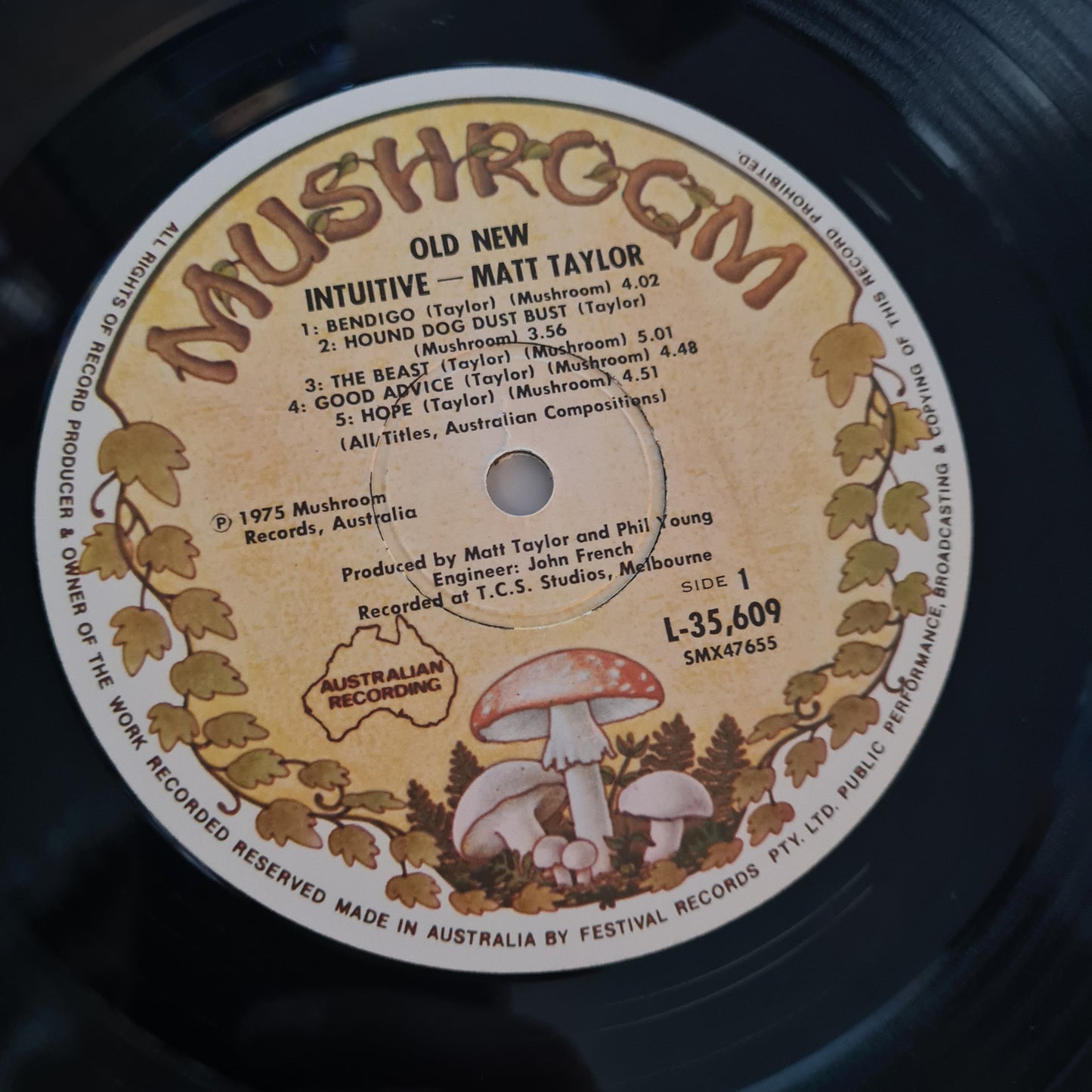 Matt Taylor – Old New Intuitive - 1975 - Vinyl Record LP (Gatefold) near mint - Sound Hound Records