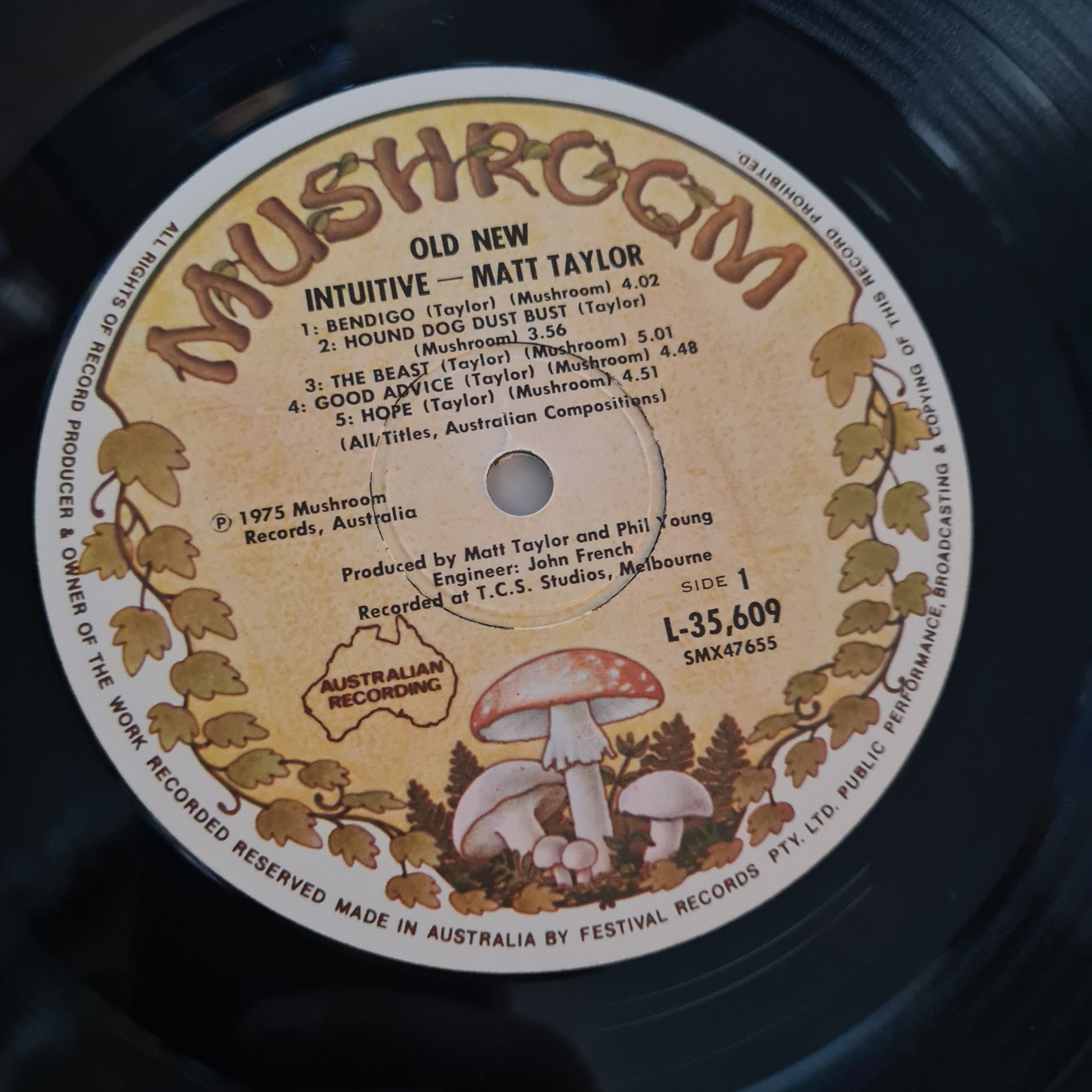 Matt Taylor – Old New Intuitive - 1975 - Vinyl Record LP (Gatefold) near mint - Sound Hound Records