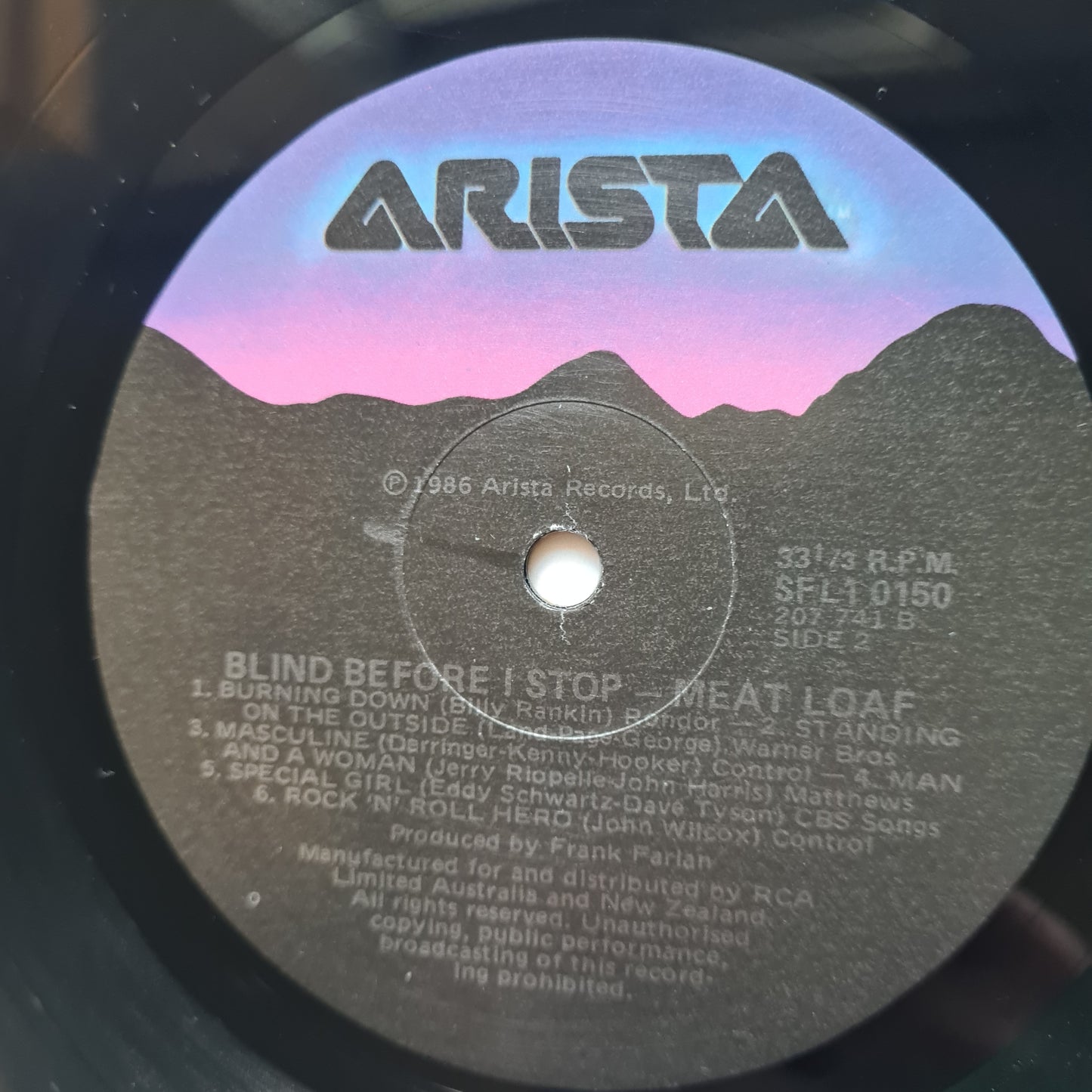 Meat Loaf – Blind Before I Stop - 1986 - Vinyl Record LP - Sound Hound Records