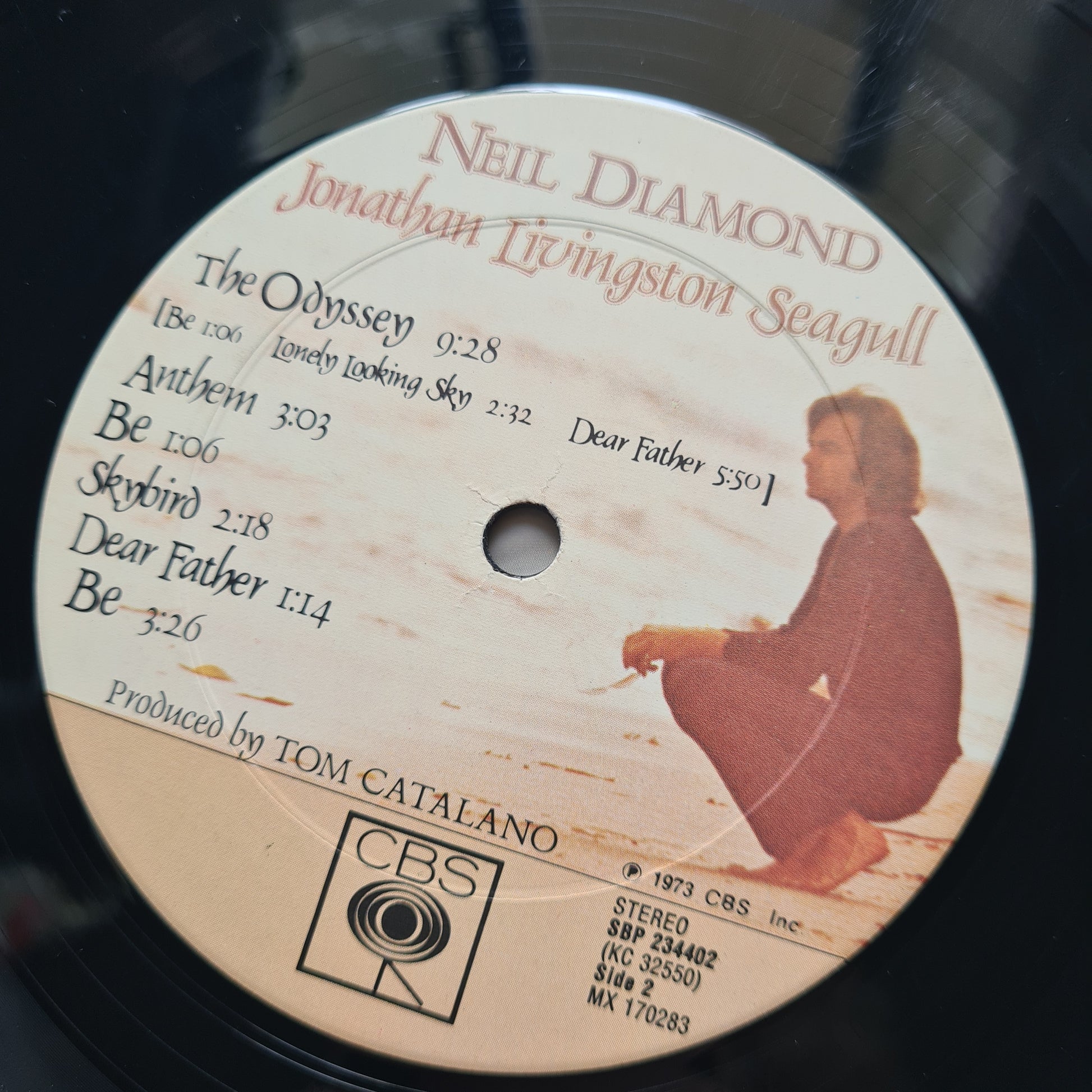 Neil Diamond – Jonathan Livingston Seagull (Original Motion Picture Sound Track) - 1973 - Vinyl Record LP - Sound Hound Records