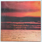 Neil Diamond – Jonathan Livingston Seagull (Original Motion Picture Sound Track) - 1973 - Vinyl Record LP - Sound Hound Records