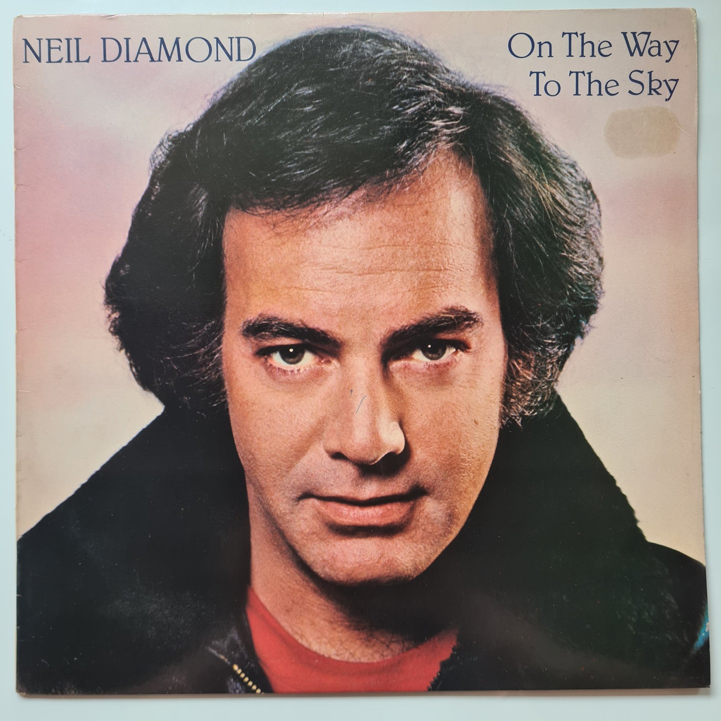 Neil Diamond – On The Way To The Sky - 1981 - Vinyl Record LP - Sound Hound Records