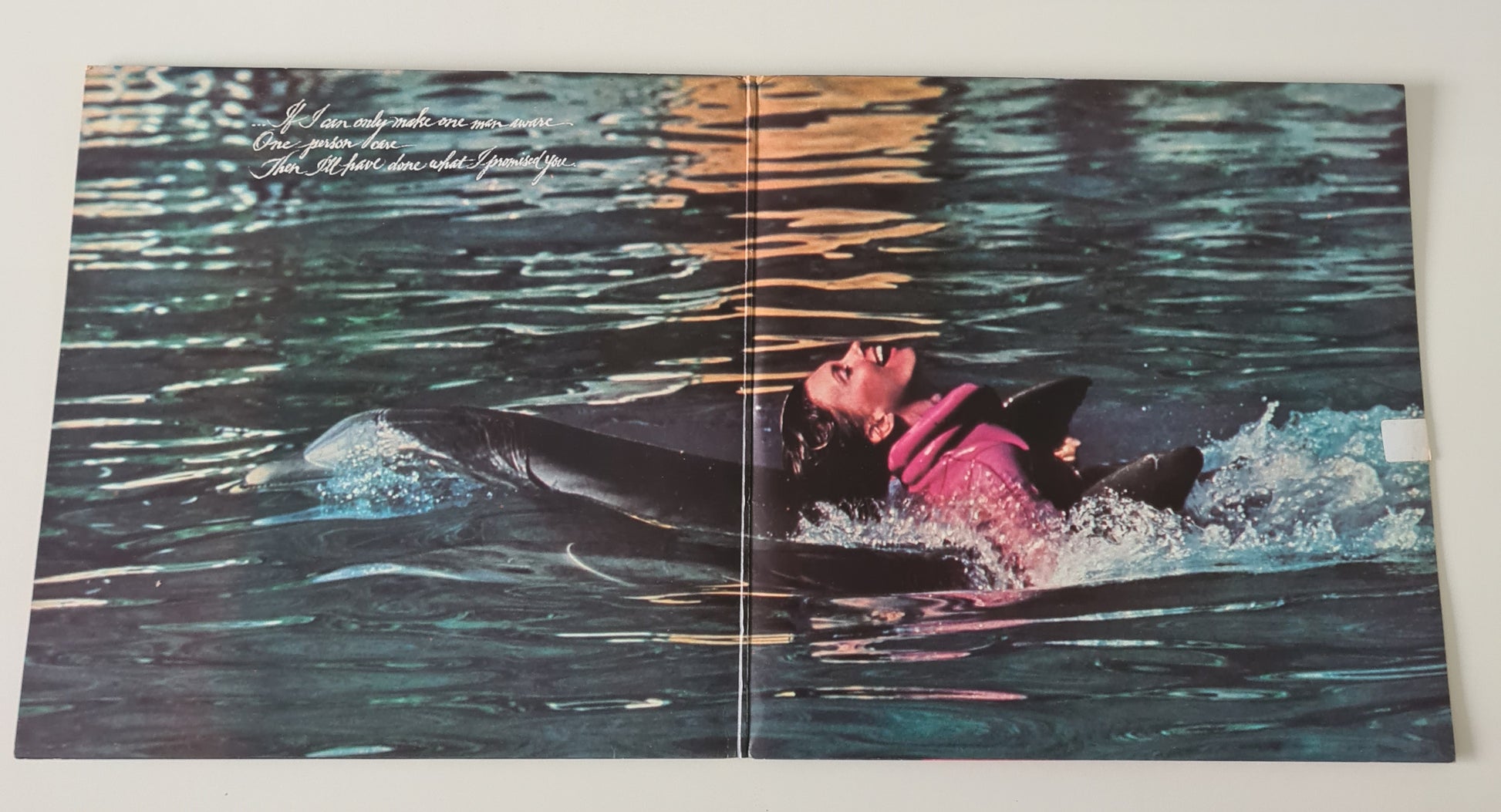 Olivia Newton John – Physical - 1981 - Vinyl Record LP (with Poster) - Sound Hound Records