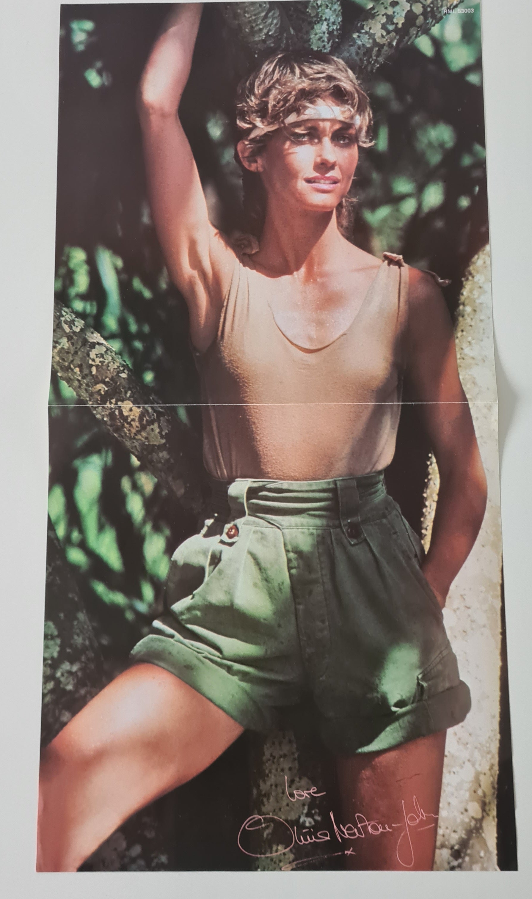 Olivia Newton John – Physical - 1981 - Vinyl Record LP (with Poster) - Sound Hound Records