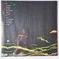 Professor Ratbaggy (Paul Kelly) – Professor Ratbaggy - 1999 (2018 Pressing) - Vinyl Record LP (Brand new sealed) - Sound Hound Records