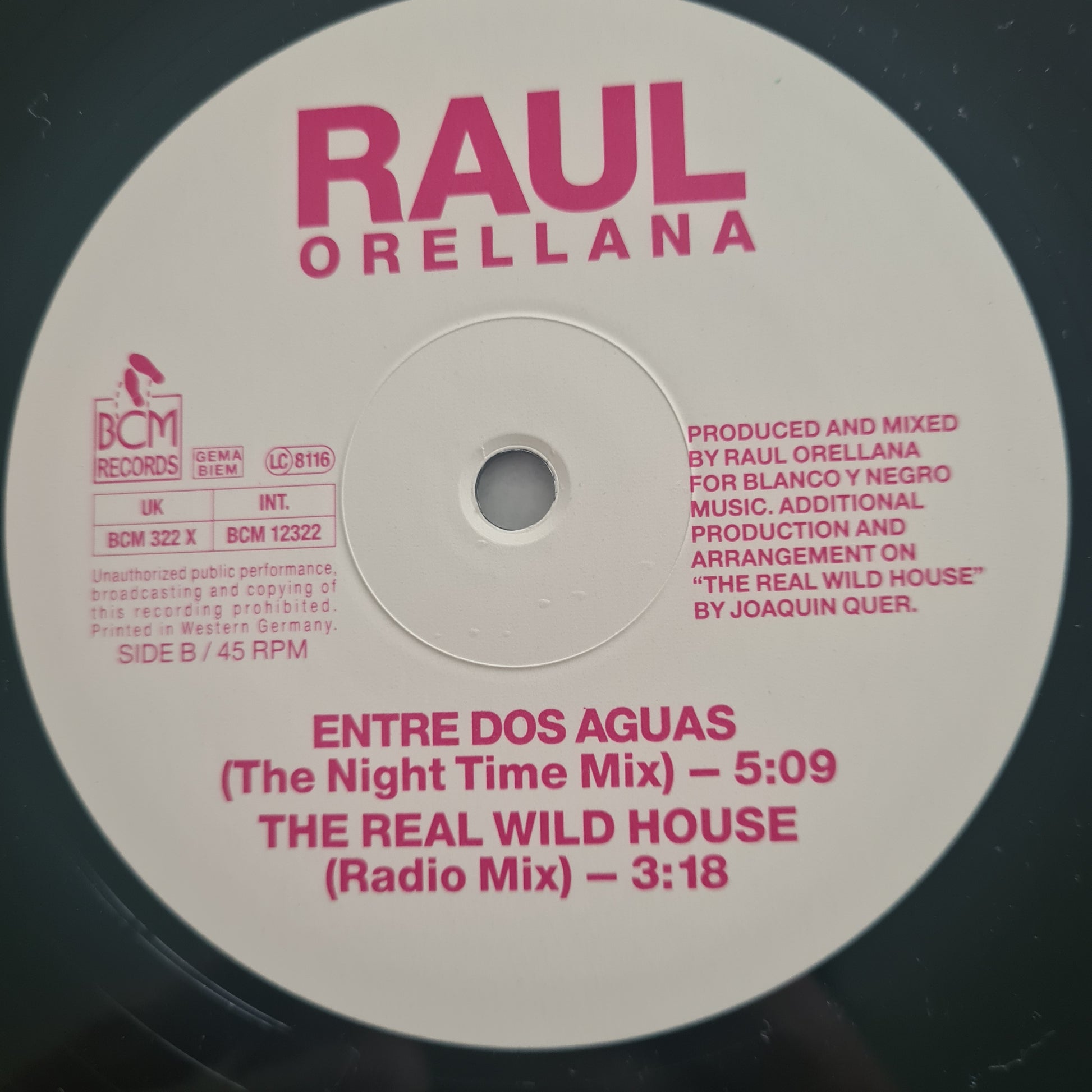 Raul Orellana – The Real Wild House - 1989 - Vinyl Record 12" Maxi Single - Sound Hound Records
