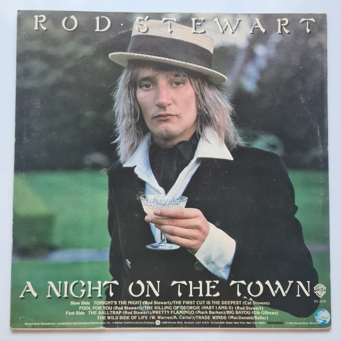 Rod Stewart – A Night On The Town - 1976 (USA Pressing) - Vinyl Record LP - Sound Hound Records
