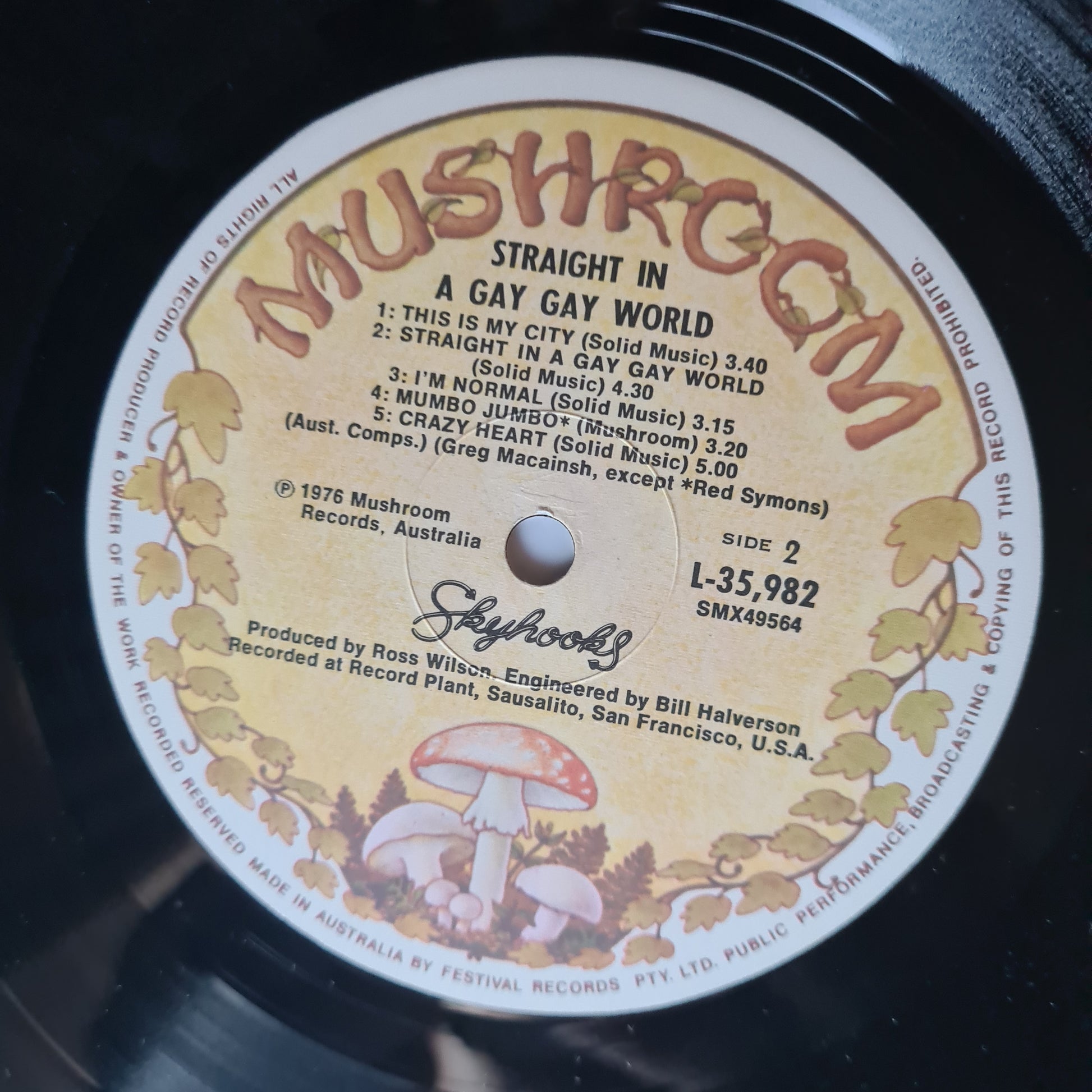 Skyhooks – Straight In A Gay Gay World (with Poster) - 1976 - Vinyl Record LP (near mint) - Sound Hound Records