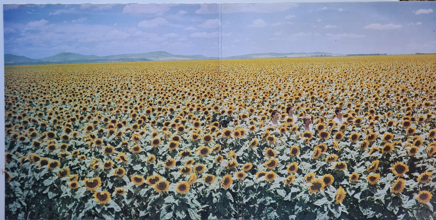 Sunnyboys – Individuals - 1982 - Vinyl Record LP - Sound Hound Records