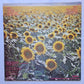 Sunnyboys – Individuals - 1982 - Vinyl Record LP - Sound Hound Records