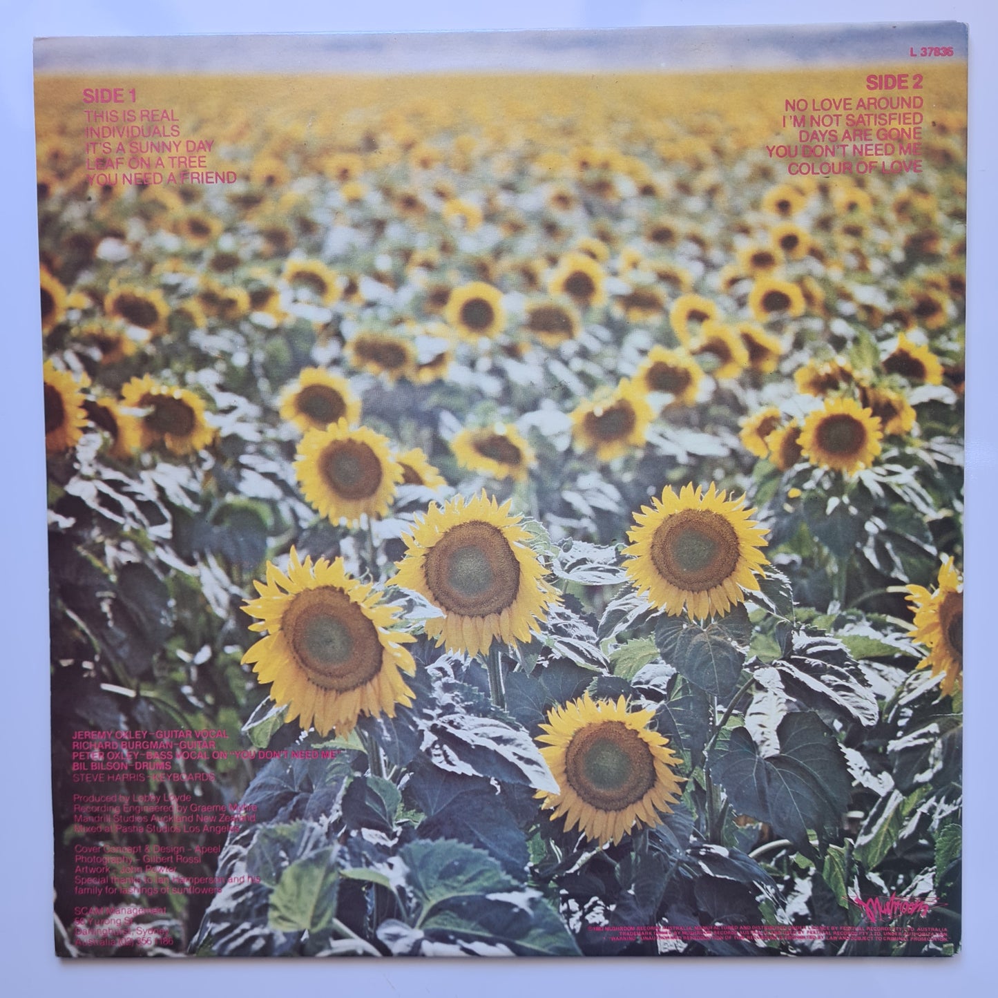 Sunnyboys – Individuals - 1982 - Vinyl Record LP - Sound Hound Records