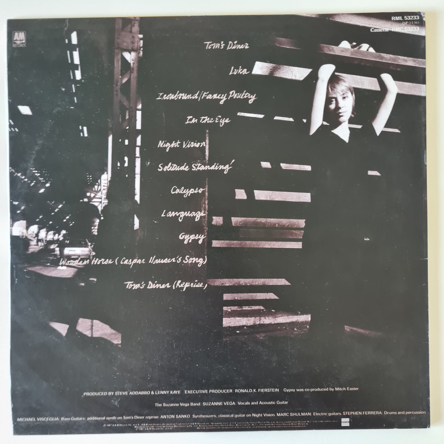 Suzanne Vega – Solitude Standing - 1987 - Vinyl Record LP (near mint) - Sound Hound Records