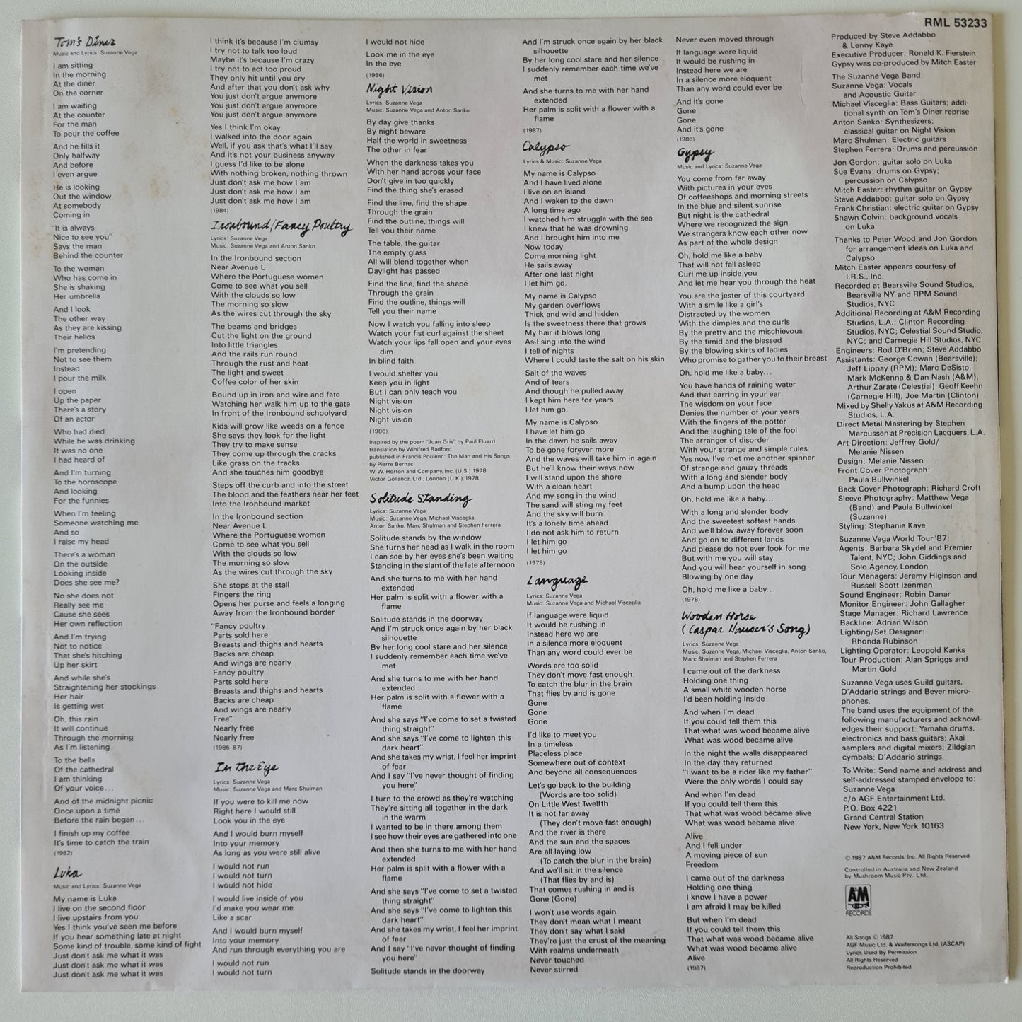 Suzanne Vega – Solitude Standing - 1987 - Vinyl Record LP (near mint) - Sound Hound Records