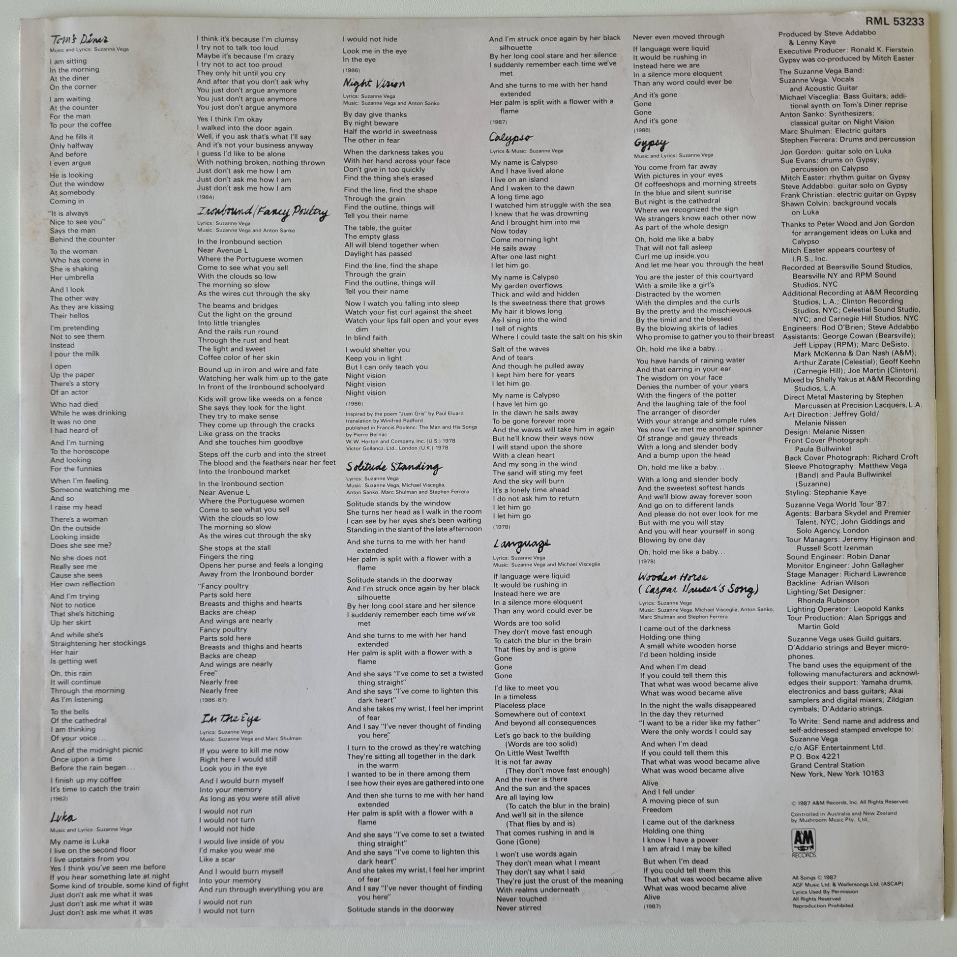 Suzanne Vega – Solitude Standing - 1987 - Vinyl Record LP (near mint) - Sound Hound Records