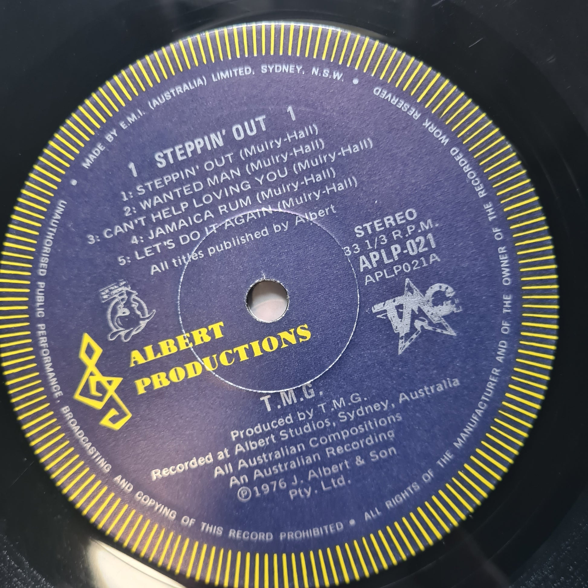 Ted Mulry Gang – Steppin' Out - 1976 - Vinyl Record LP (Gatefold) - Sound Hound Records